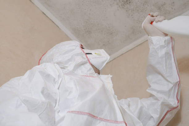 Mold Remediation for Rental Properties in London, OH